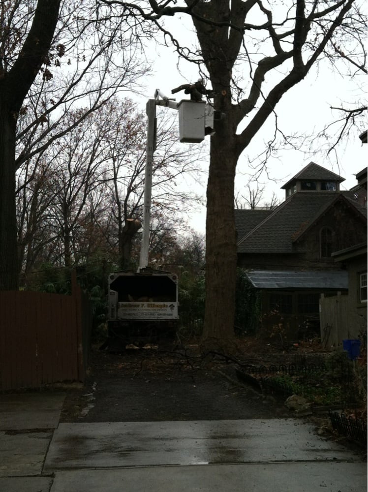 Photo of Andrew F. Gillespie Tree Service, Landscape Design & Install