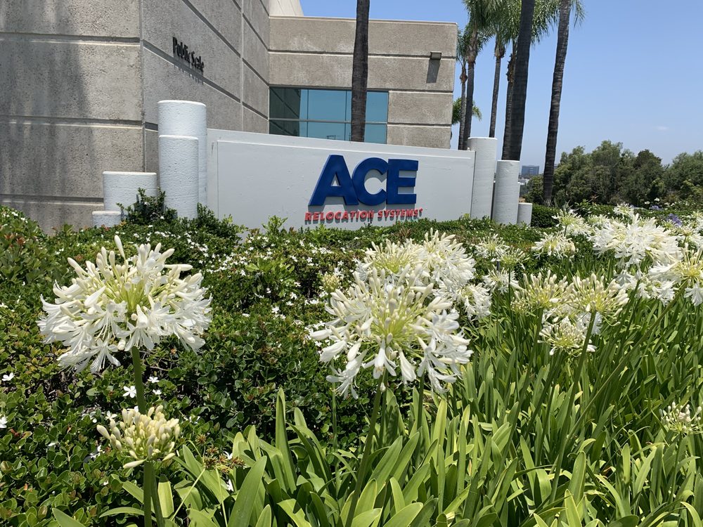 Photo of Ace Relocation Systems