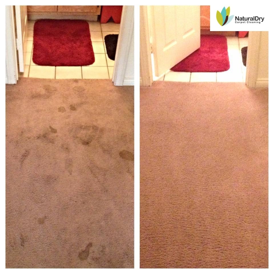 Photo of NaturalDry Carpet Cleaning