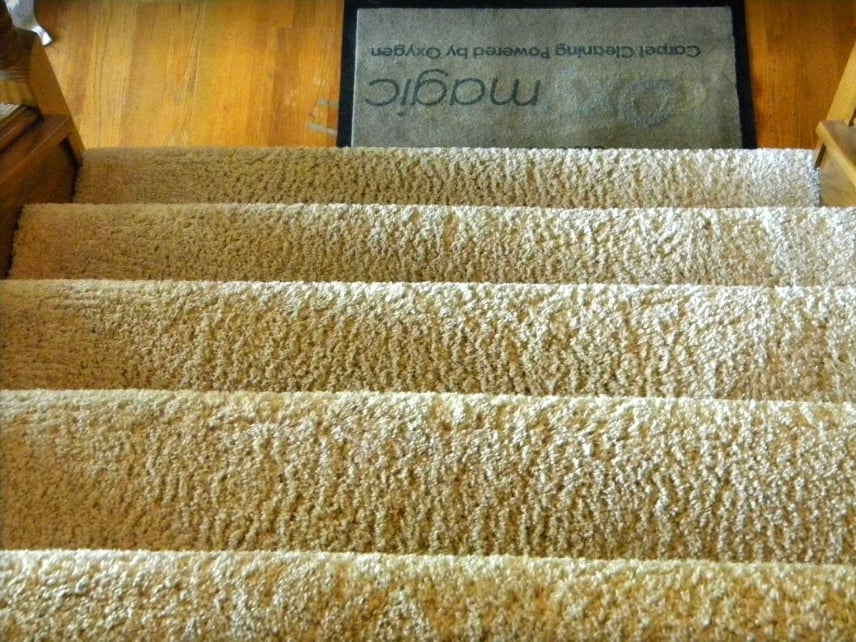 Photo of Oxymagic Carpet Cleaning
