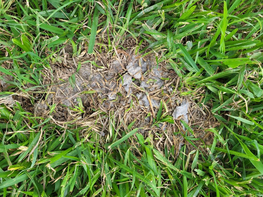 Photo of Premier Foundation Repair