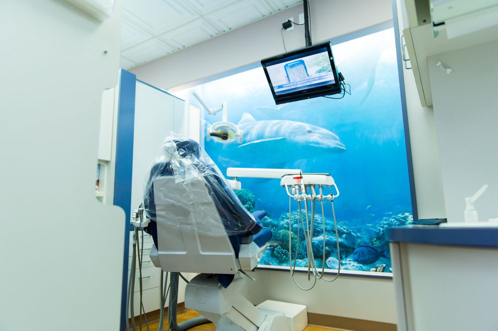 Photo of SeaCliff Dental Team