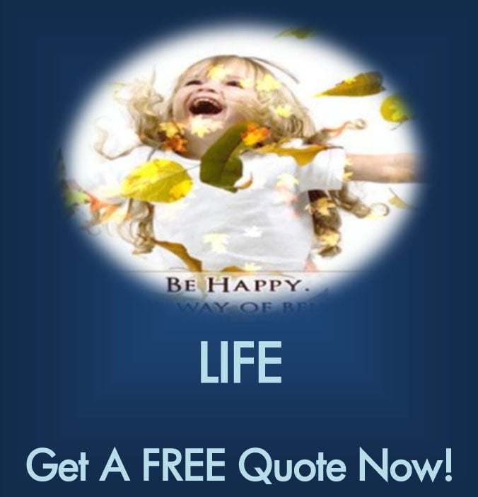 Photo of Grau Insurance Services