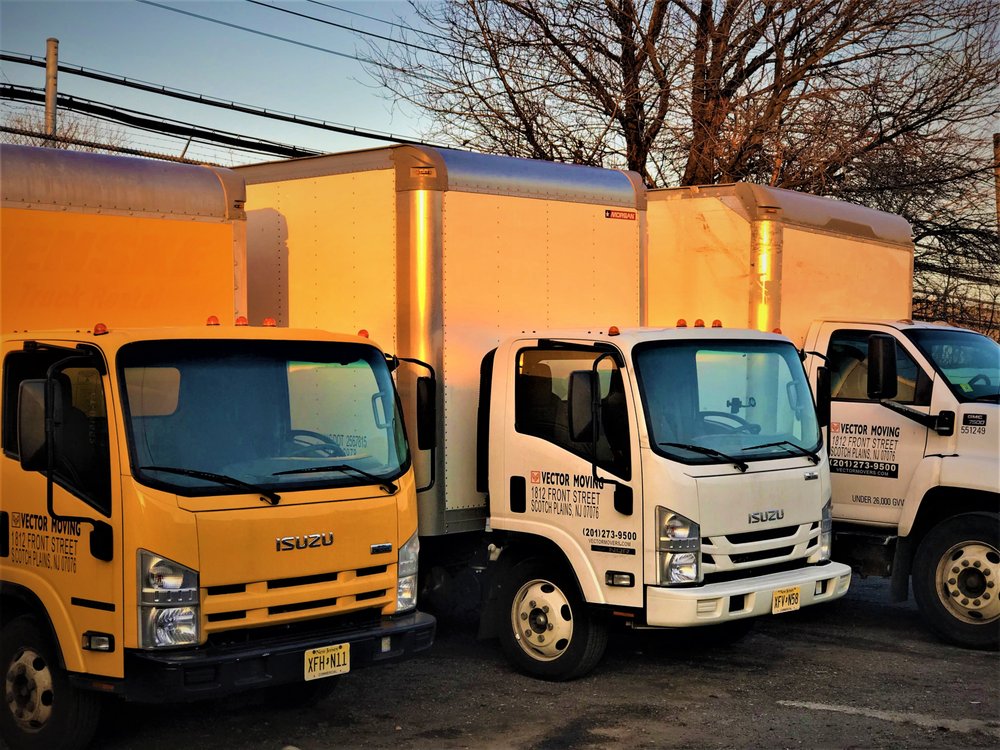 Photo of Vector Movers NJ