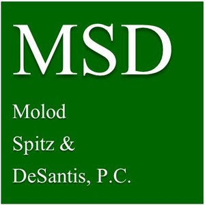 Photo of Molod Spitz & DeSantis PC Law Firm