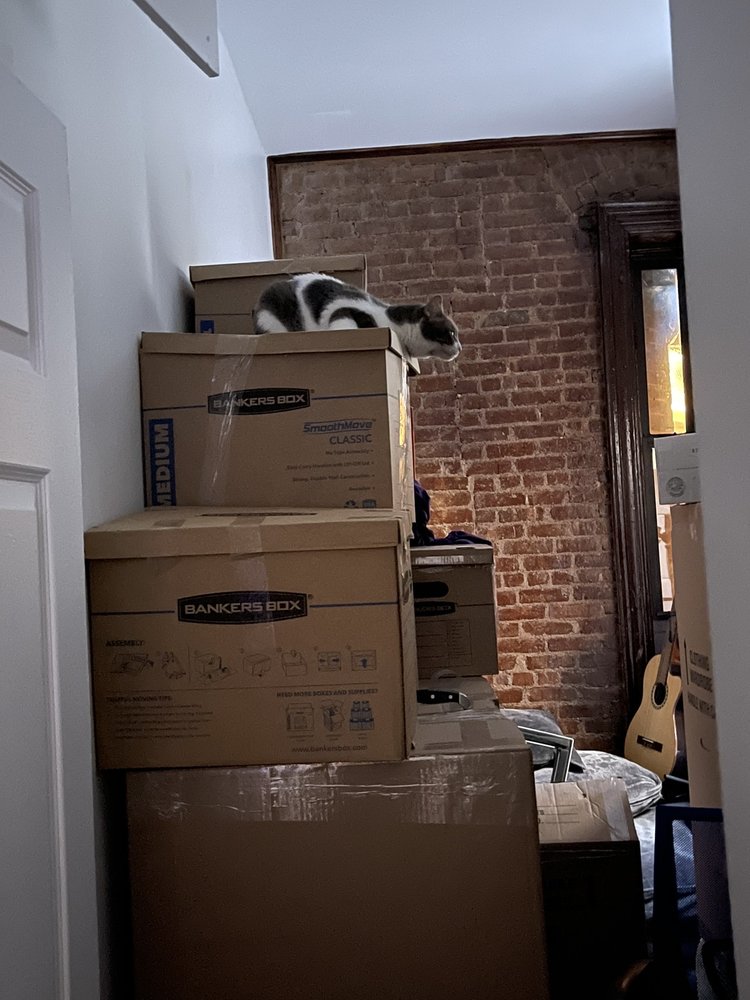 Photo of Konstantly Moving
