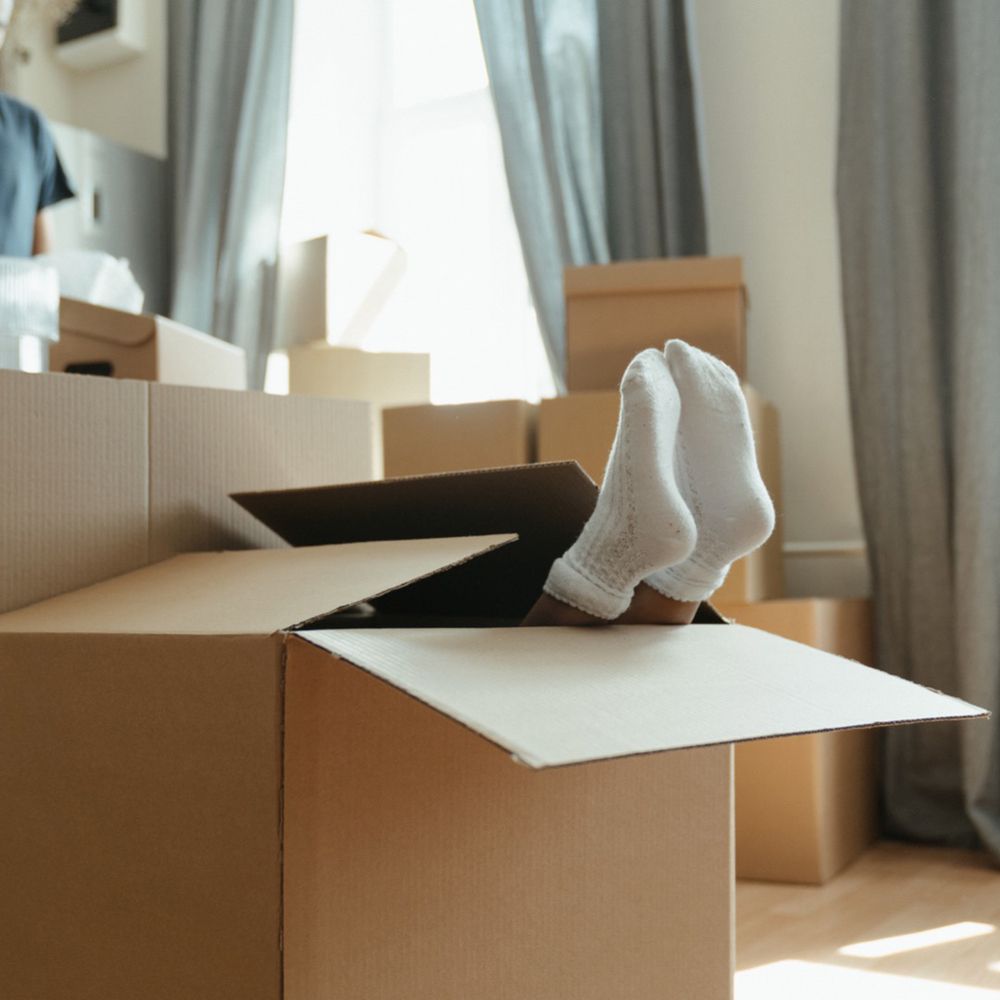 Photo of Ryne Elite Movers