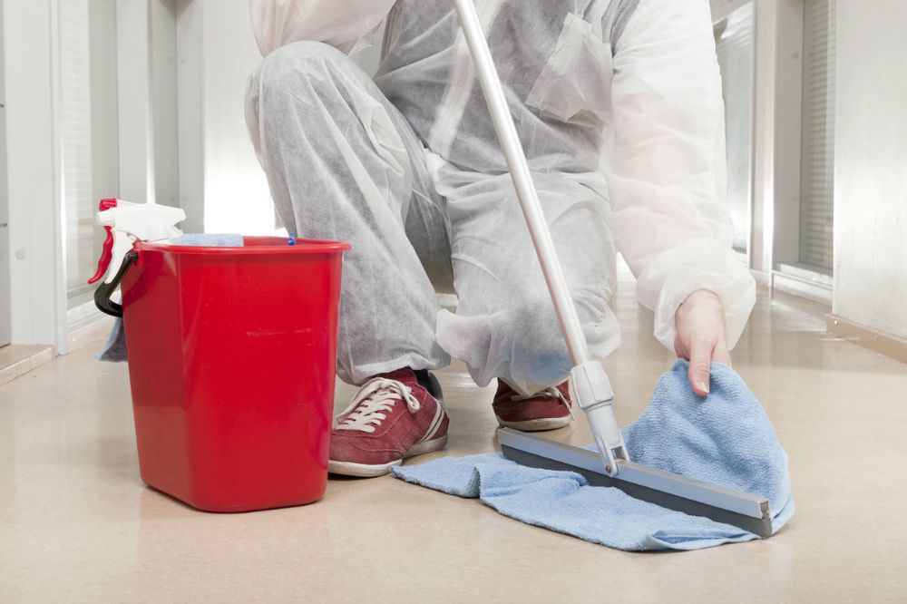Photo of Empire Building Maintenance Firm