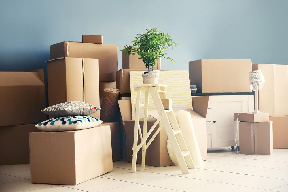 Photo of Lucida Movers