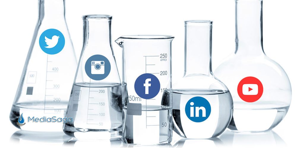 Photo of Media Saga Social SEO Firm