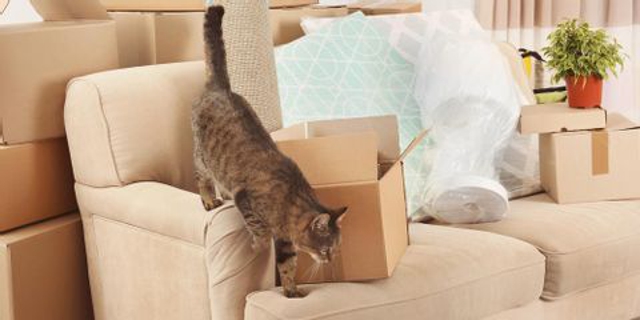 Photo of Nebraskaland Moving Company