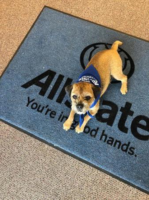 Photo of Haylee Jeon: Allstate Insurance an Allstate representative