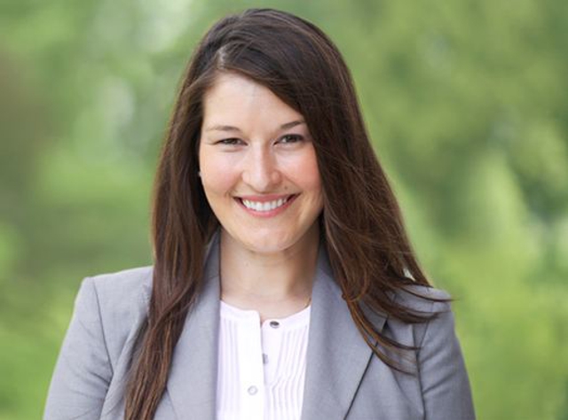Photo of Sanford P. Krigel corporate/transactional services, commercial litigation