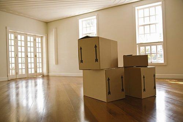 Photo of Iceman Movers