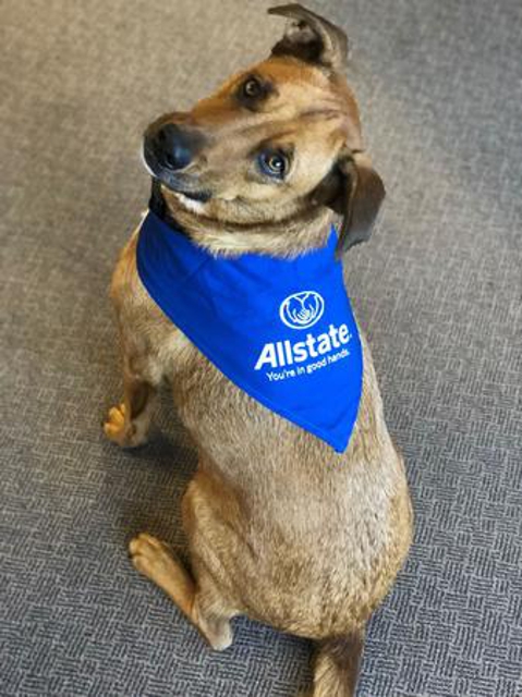 Photo of Keith D. Duncan: Allstate Insurance prepare for your future while offering a relationship