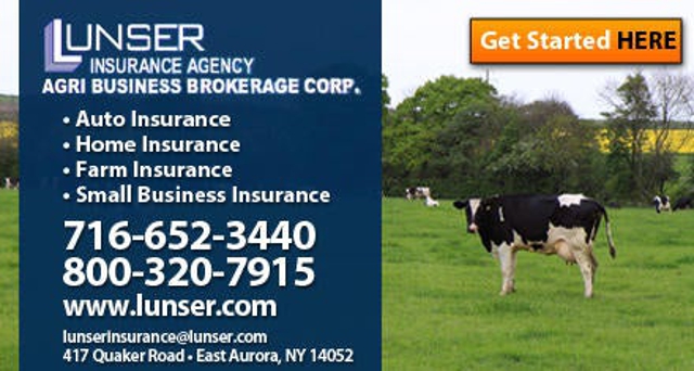 Photo of Lunser Insurance Agency