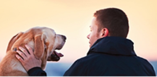 Photo of Brian Johnson: Allstate Insurance Agency
