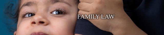 Photo of Law Office of Robin J. Krane PLLC the best possible family law representation
