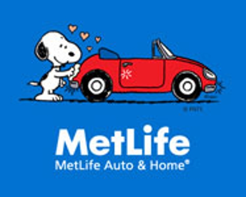 Photo of MetLife - Vann James insurance to protect valuable possessions