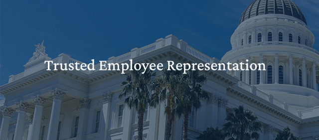 Photo of O'grady Law Group Bay Area Business Immigration Law Firm