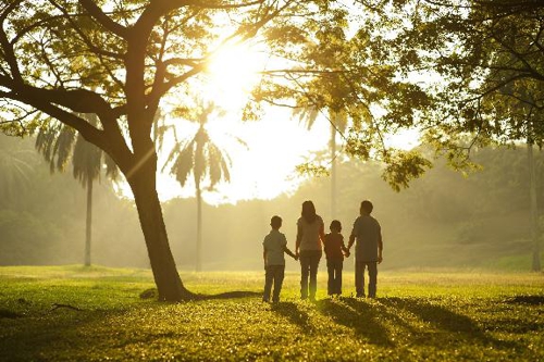 Photo of Morse Family Law Litigation or court services