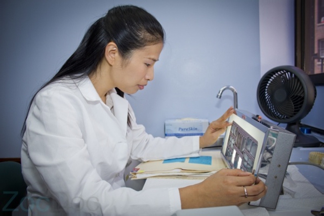 Photo of Dr. Wen Li-Cavallo, DDS Dental Surgery