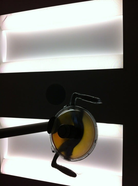 Photo of Expert Dental PC