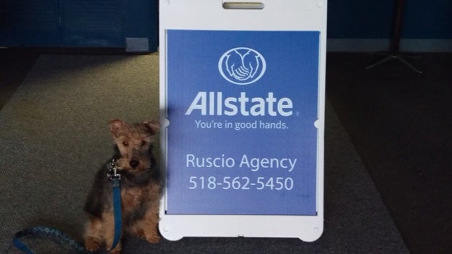 Photo of Ruscio, Timothy, AGT a new Personal Financial Representative in Plattsburgh