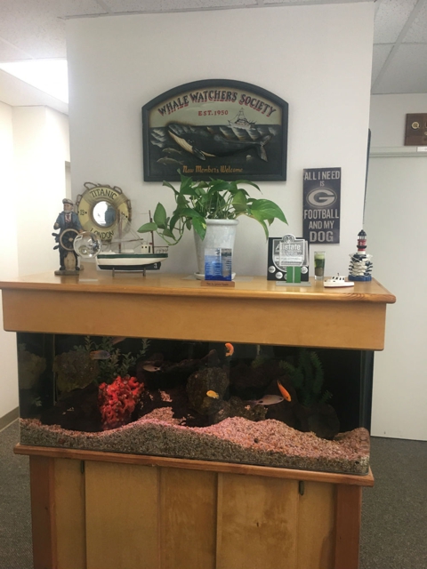 Photo of Don Kent: Allstate Insurance with an Allstate agency for over 30 years