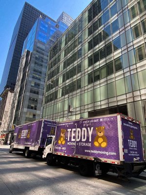 Photo of Teddy Moving and Storage