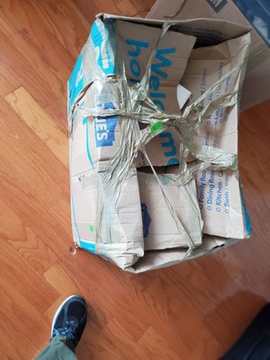 Photo of All Pro Moving