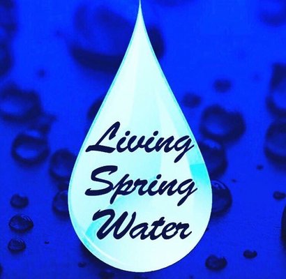 Photo of Living Spring Water