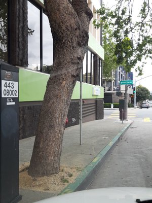 Photo of San Francisco Federal Credit Union