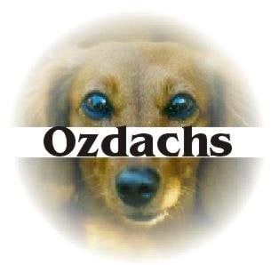 Photo of Ozdachs Consulting