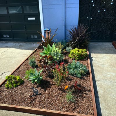 Photo of Strautman Gardening Pros