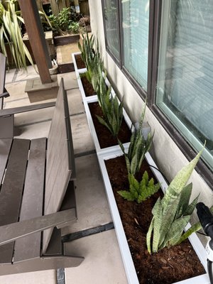 Photo of Janet Moyer Landscaping