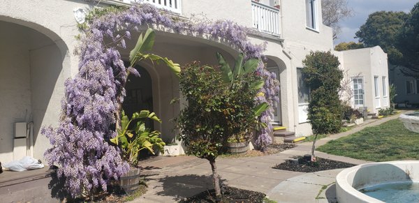 Photo of Neptune Court Apartments