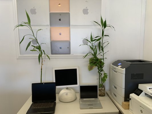 Photo of MACPC NYC
