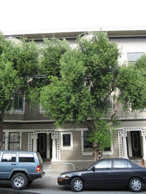 Photo of Progressive Property Group