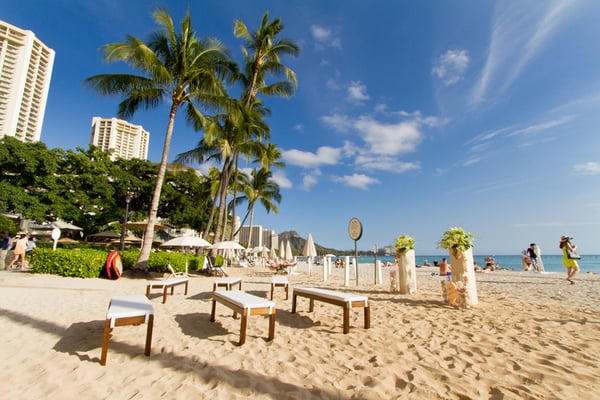 Photo of BNT Travel Group