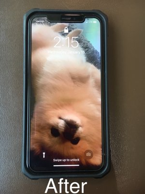 Photo of Fix Bee