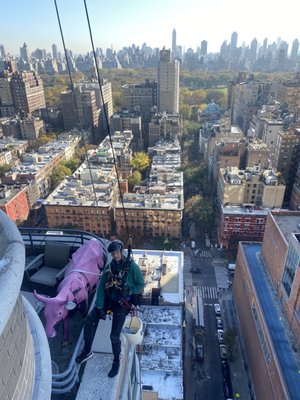 Photo of Moisha Window Cleaning