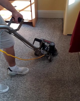 Photo of PristineGreen Upholstery and Carpet Cleaning