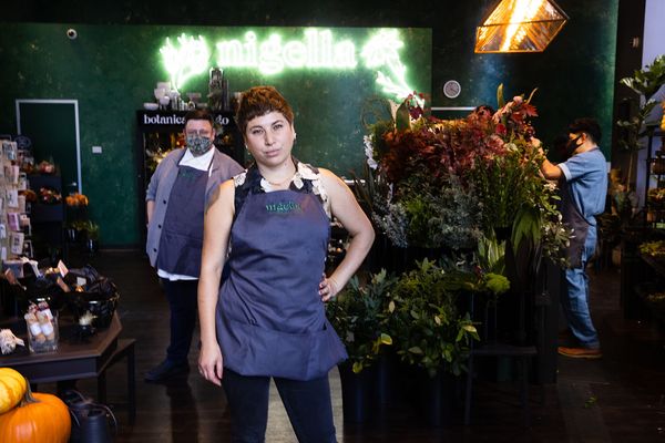 Photo of Nigella SF
