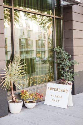 Photo of Ampersand