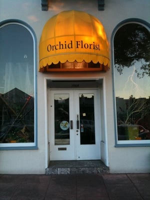 Photo of Orchid Florist