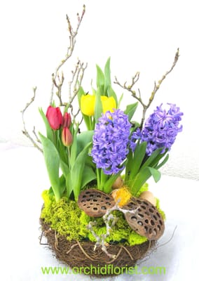 Photo of Orchid Florist