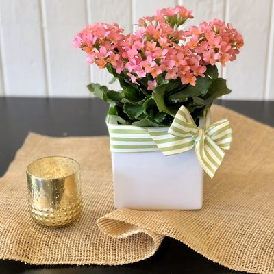 Photo of William Paul Floral Design