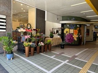 Photo of Flowers World