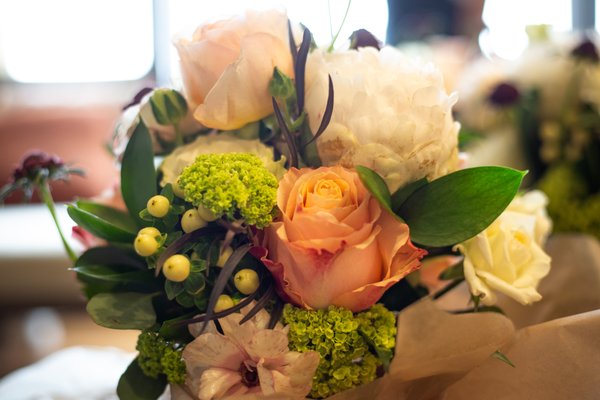 Photo of Kay Wolff Design